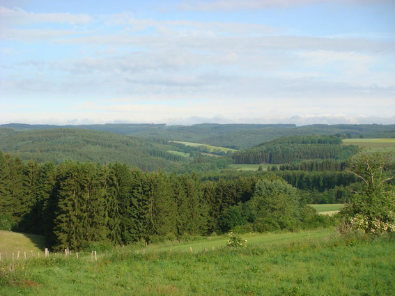 The view Major DePuy had from the M10. The Sollerbach Valley is in the middle of the photo, where Major Kegel and his men were. (the vegetation was different January 1945)