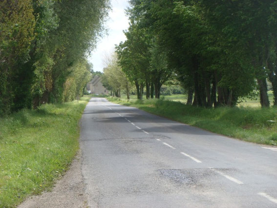 View down the causeway in direction La Fière Bridge. This small road was crowded with dead and wounded