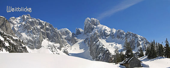 ANN41 - Bischofsmütze im Winter