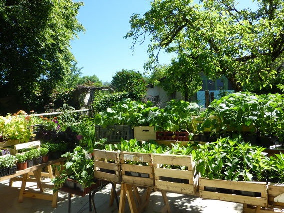 Le chemin de la mairie: un jardin bio!