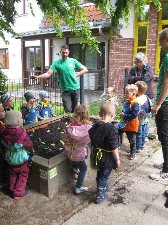 EDEKA-Aktion: Gemüsebeete für Kids - wir bepflanzen unser Gemüsehochbeet