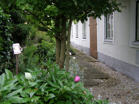 Pfingstrosen Wald mit Insektenhäuschen