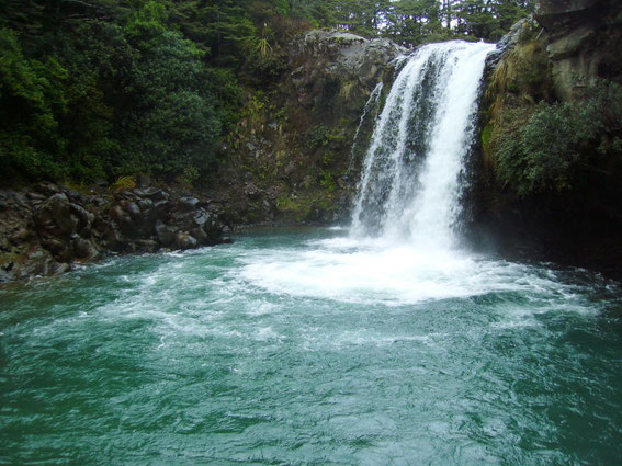 Tawhai Falls am Fuße des Mt. Ruapehu