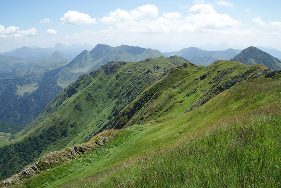 Rückblick von der Köderhöhe nach Osten