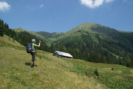 Bei der Unteren Tschintemunt Alm mit Blick hinauf zur Köderhöhe