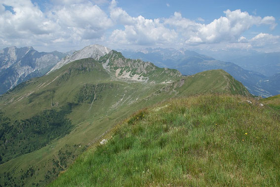 Blick zum Laucheck (rechts) und im Hintergrund der Polinik (felsig)