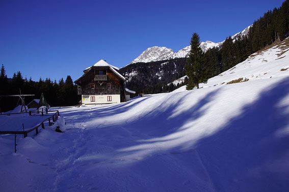 Von der Möselalm geht es sehr flach zurück zur Schipiste