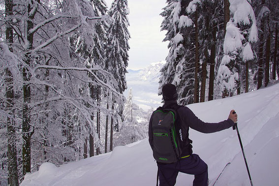 Aufstieg im Wald unter dem Pridou mit Blick zum Dobratsch