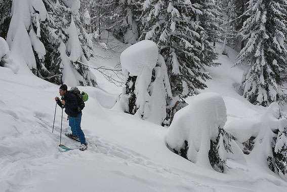 Schneemassen im schönen Schlag