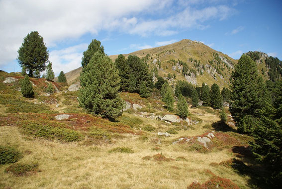 In der Egarterscharte, Blick nach Norden Richtung Koflernock