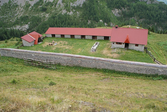 Die Alm