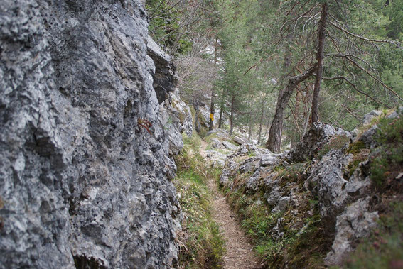 Alter Bergmannsweg
