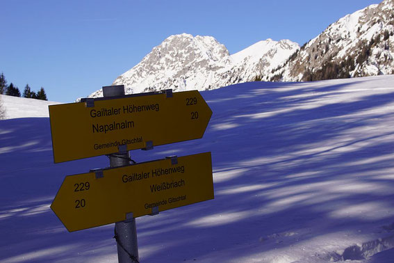 Am Beginn der Napalnalm mit dem Reißkofel im Hintergrund