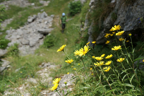 Knapp nach dem Rossbodentörl