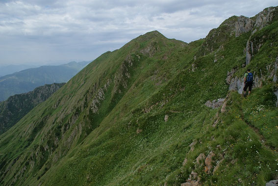 Am Weiterweg in der Südflanke