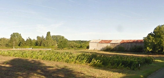 Un arpent de vigne paysanne arraché début 2017 à 10 kms d'Orléans (photo google streetview)