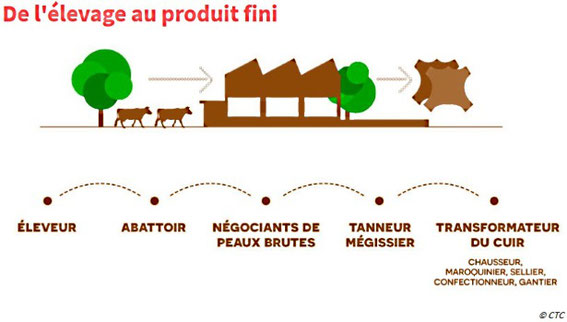 Le processus de production du cuir