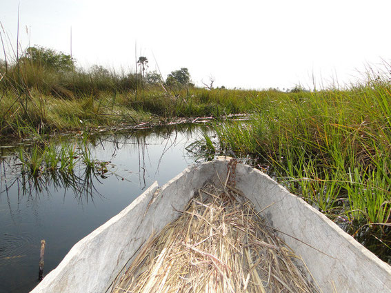 Further on through the water and the reed...