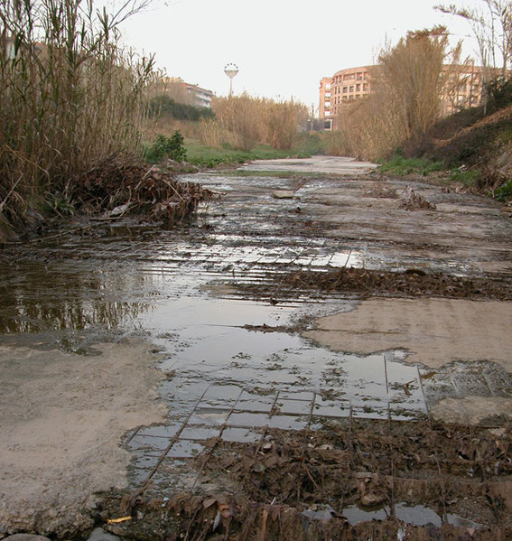 Nº 52: El problema de Agua