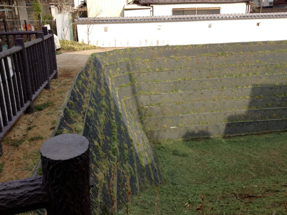 最近公開のお堀跡