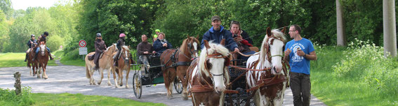 Discovery outing in carriage or on horseback on Saturday and Sunday by reservation