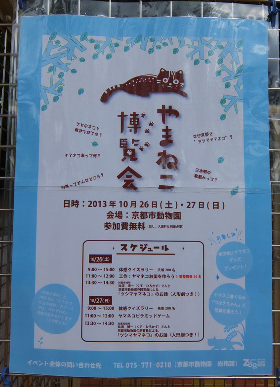 「やまねこ博覧会」ポスター:京都市動物園作成