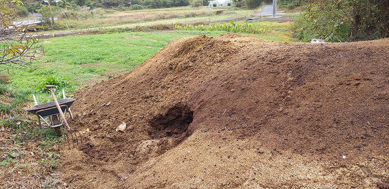 ↑熟成した堆肥の山。牛糞ともみ殻、ワラを混ぜて作られています。中には無数のクワガタの幼虫とミミズが！！