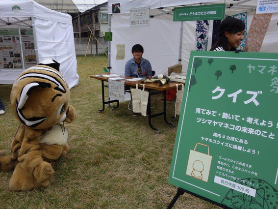 ツシマヤマネコの生息地である対馬からは、着ぐるみの『つばき』もやって来ました