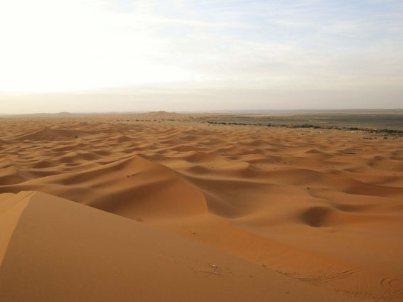 Blick von einer Sanddüne über das grosse Gebiet des Erg Chebbi