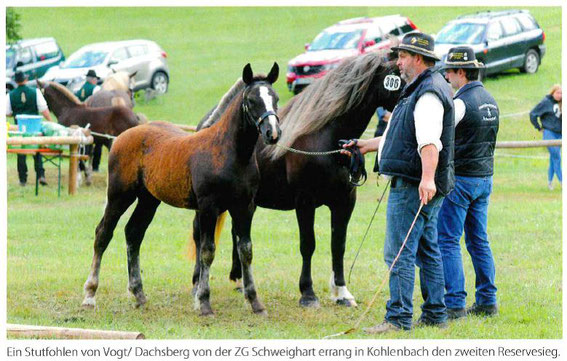 Presseauszug aus "Schwarzwälder Spezial 3/17"