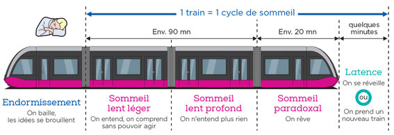 Le train du sommeil permet de repérer et de comprendre les différentes phases d'un cycle de sommeil.