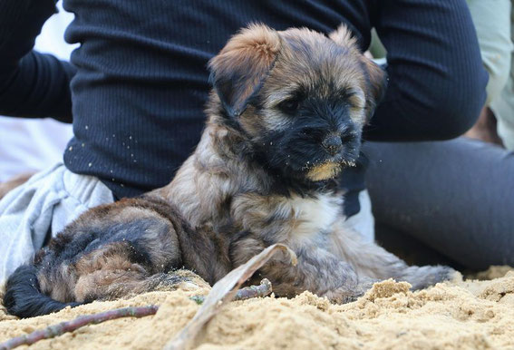 Bella Frieda ist fest vergeben.