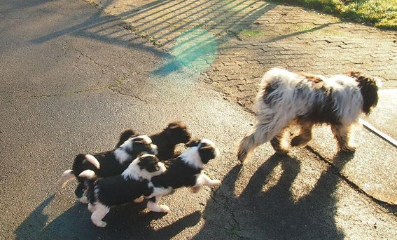 Mama hat die Truppe im Griff, im Gleichschritt marsch!