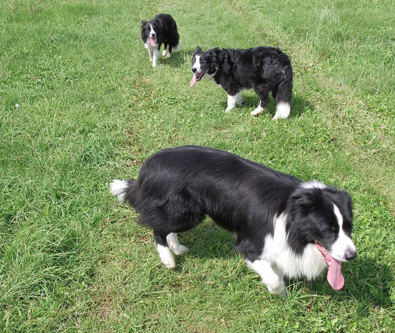 Dina mit Sohn Chap und Tochter Connie !