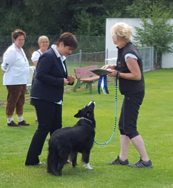 Frieda ist heuer Vierte bei der Bayerischen Meisterschaft geworden und damit mit neun Jahren noch einmal qualifiziert für die dhv DM Anfang Oktober in der Nähe von Berlin. Ich komme echt rum mit dem großartigen Hundchen ....