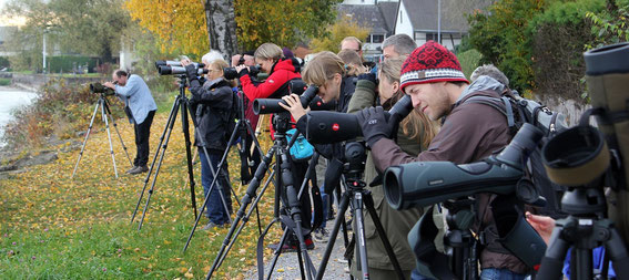 Impressionen der Exkursion an die Seetaucherstrecke, 05.11.2011 (Foto: S. Trösch)