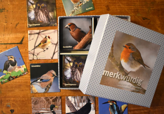 offene Schachtel des Vogel-Memories mit Memo-Karten