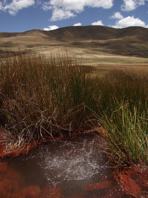 Thermal springs Huaraz.