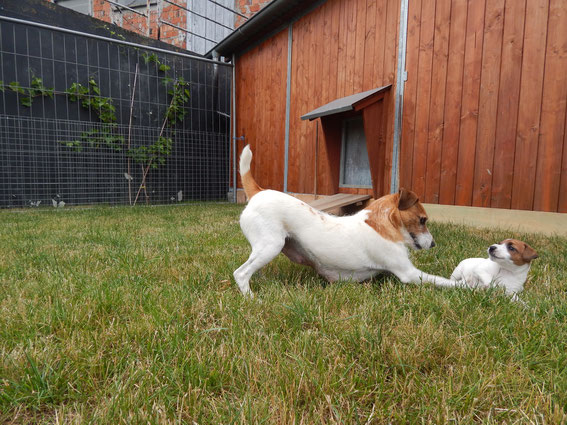 die Spielchen mit Mama Cora sind oft ganz schön wild!