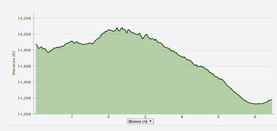 Ladakh 7Km "Run For Fun" Profile