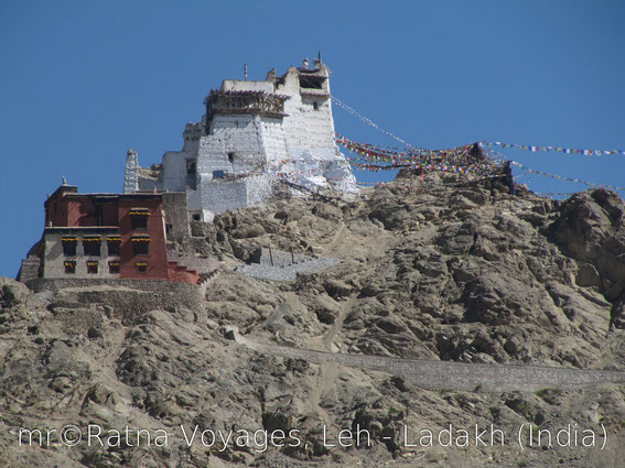 Namgyal Tsemo Gompa, Leh, Ladakh