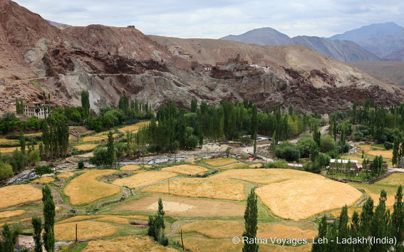 Basgo Castle, Ladakh