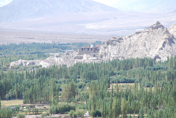 Shey Palace, view from Thiksey