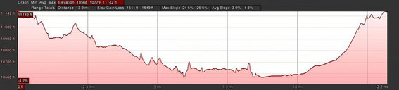 Ladakh Half Marathon Elevation Chart 2018