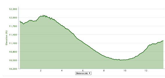 Ladakh Half Marathon Profile