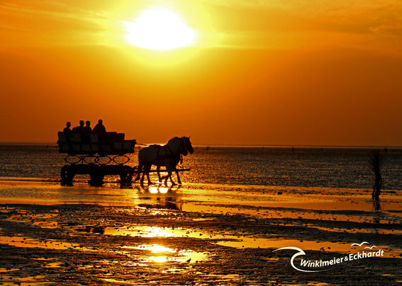 Roter Sonnenuntergang im Watt mit Wattwagen vor Cuxhaven Duhnen