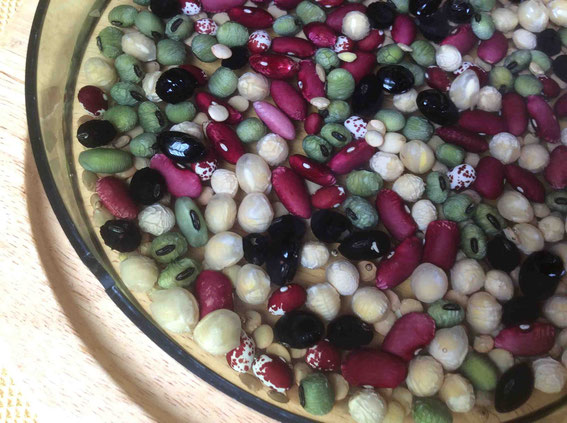 まずは数時間水につける。豆にシワがよってくる。キレイ。