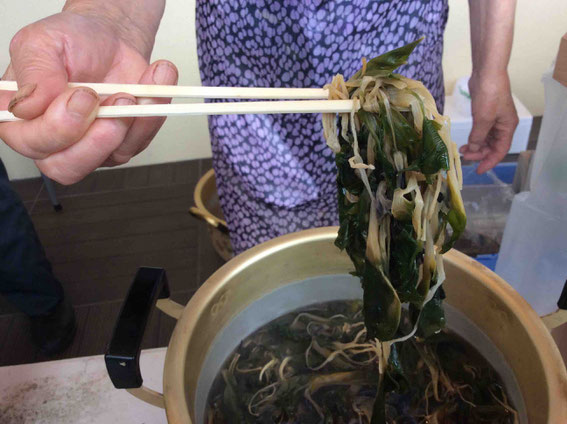 黄色い部分がカタクリの蕾