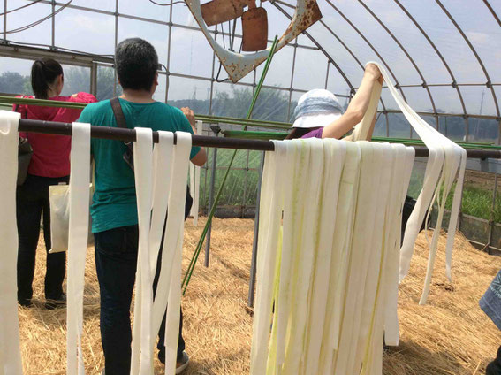 うまく干せるかな?この段階ではさほど暑くないのですが、水分が蒸発してくると地獄蒸し状態に