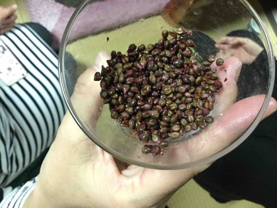 山葡萄の種はお手玉に。小豆とは違って虫食いしないとのこと。